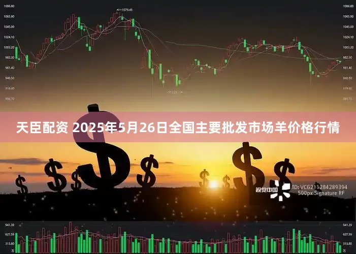 天臣配资 2025年5月26日全国主要批发市场羊价格行情