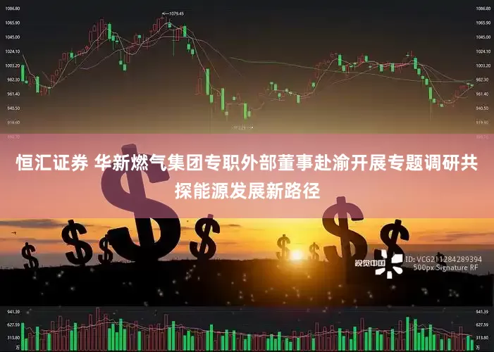 恒汇证券 华新燃气集团专职外部董事赴渝开展专题调研共探能源发展新路径
