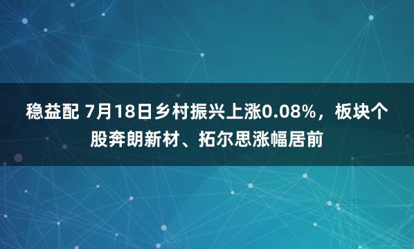 稳益配 7月18日乡村振兴上涨0.08%，板块个股奔朗新材、拓尔思涨幅居前