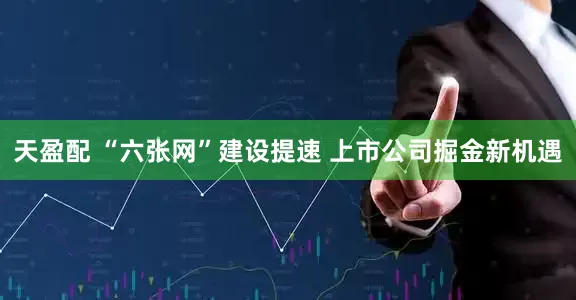 天盈配 “六张网”建设提速 上市公司掘金新机遇